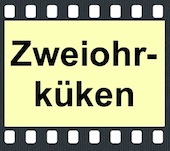 Zweiohrküken